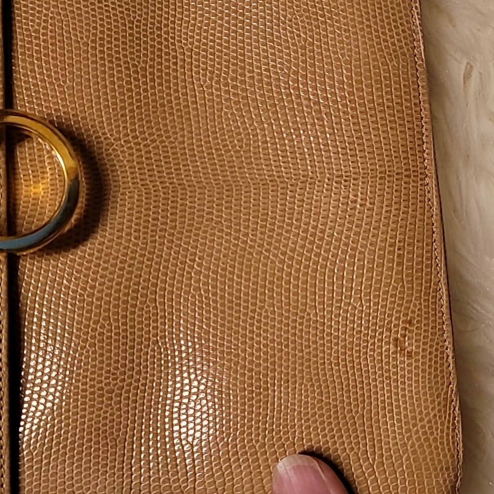 Lizard Vintage Salvatore Ferragamo Tan Handbag - Picture 2 of 11